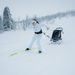 THULE CHARIOT 2 CROSS-COUNTRY SKIING KIT - PŘÍSLUŠENSTVÍ CYKLO - NOŠENÍ & SPORT