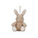 LITTLE DUTCH USÍNÁČEK KRÁLÍČEK NEWBORN NATURALS - LITTLE DUTCH - PRO DĚTI