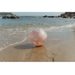 LITTLE DUTCH NAFUKOVACÍ MÍČ DREAMY MERMAID - NAFUKOVACÍ HRAČKY - PRO DĚTI