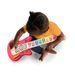 BABY EINSTEIN HRAČKA DŘEVĚNÁ HUDEBNÍ KYTARA TOGETHER IN TUNE GUITAR™ CONNECTED MAGIC TOUCH™ HAPE 6M+ - HUDEBNÍ - PRO DĚTI