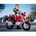 DUCATI MONSTER - ELEKTRICKÁ VOZÍTKA - PRO DĚTI