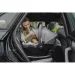 BRITAX RÖMER BABY-SAFE CORE 2024 - AUTOSEDAČKY 0-13KG - AUTOSEDAČKY A PŘÍSLUŠENSTVÍ