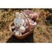 LITTLE DUTCH KRÁLÍČEK MIFFY TEXTILNÍ VINTAGE KYTIČKY 35 CM - USÍNÁČCI MAZLÍCÍ - PRO DĚTI