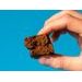 MIXIT PROTEINOVÁ MIXITKA BEZ LEPKU – BROWNIE - SLADKÉ ZOBÁNÍ - PRO MAMINKY