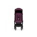 BUMPRIDER CONNECT MINI 2X KOČÁREK S MADLEM ITALIAN PLUM - GOLFOVÉ KOČÁRKY - KOČÁRKY A PŘÍSLUŠENSTVÍ