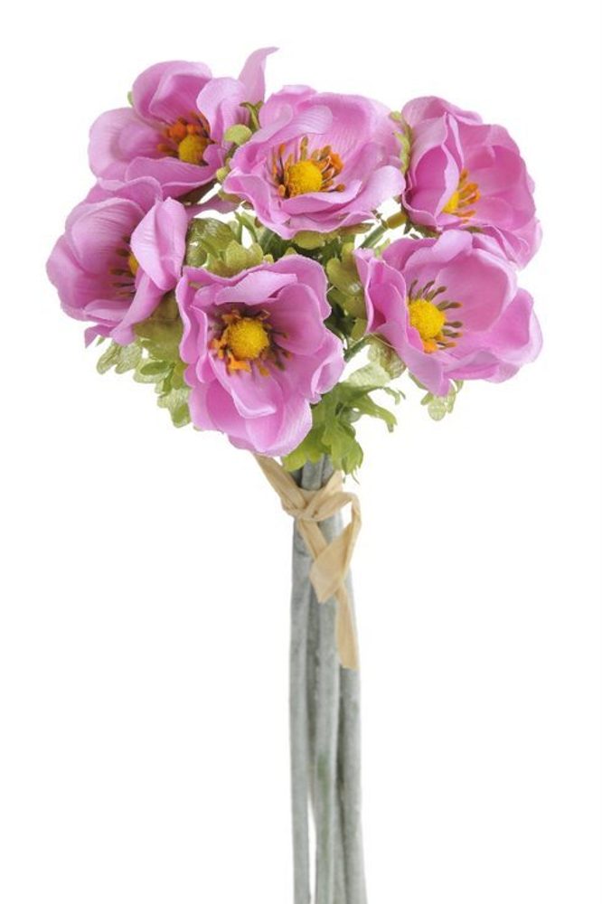 Kytice sasanek anemon růžová 6 kusů