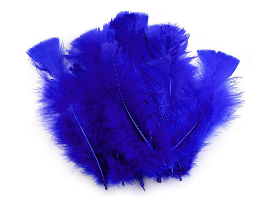 Krůtí peří délka 11-17 cm - 13 modrá královská