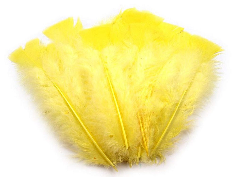 Krůtí peří délka 11-17 cm - 6 žlutá