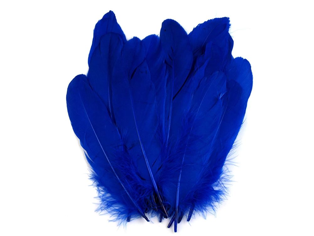 Husí peří délka 15-21 cm balení 5 kusů - 12 modrá kobaltová