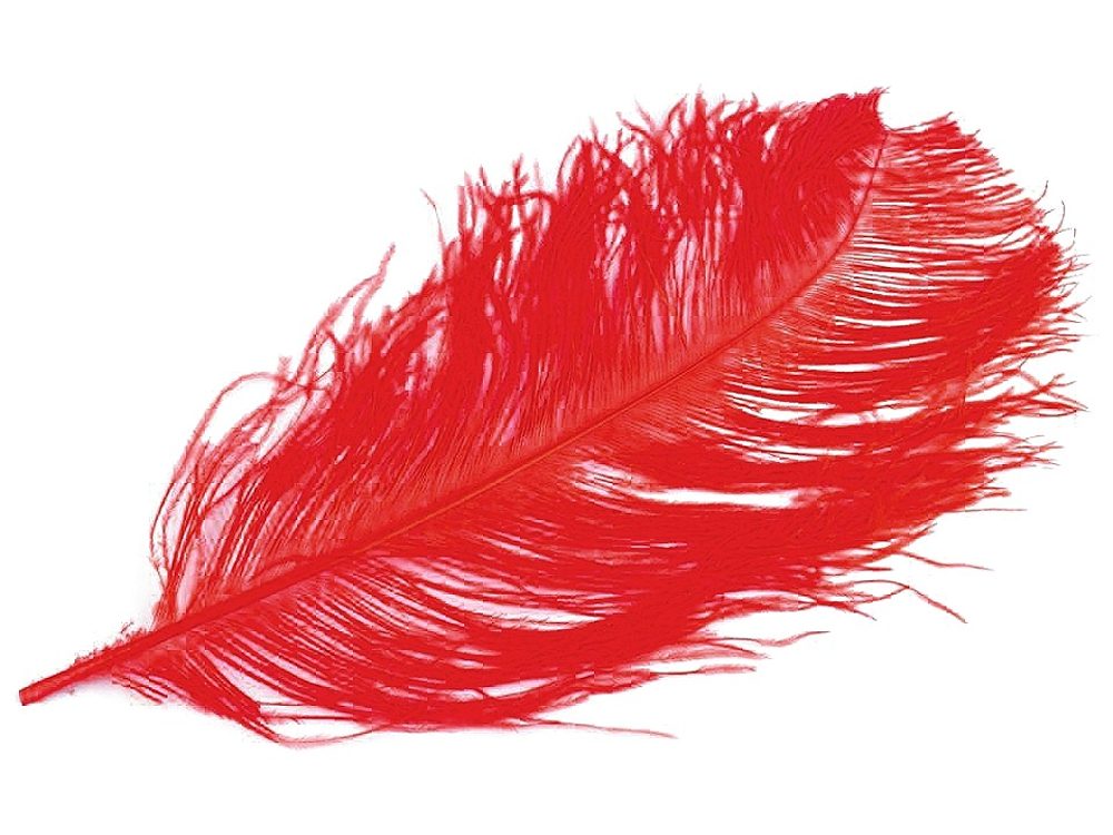 Pštrosí peří délka 60 cm - 18 červená