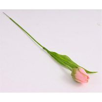 Umělý tulipán růžovozelený 371309-05 - 4 x 5 x 43 cm