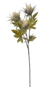 Umělý bodlák s listy - krémová 67 cm