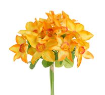 Narcis svazek 12 kusů - žlutá