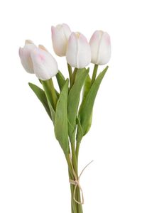 Tulipán pěnový 5 ks - bílá/růžová