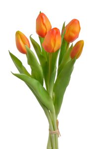 Svazek tulipánů (5 ks) - oranžová 30 cm
