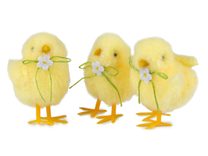 Velikonoční kuřátko