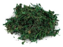 Dekorační mech 25 g