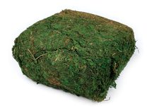 Dekorační přírodní mech 450 g