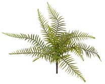 kapradina trs 47 cm - zelená