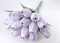 Tulipán s listem 6 ks - lila