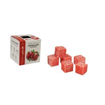Vonný vosk GRANÁTOVÉ JABLKO TTG MRE-9597 - 4 x 4 x 4 cm