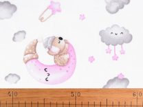 Bavlněná látka / plátno medvídek koala METRÁŽ