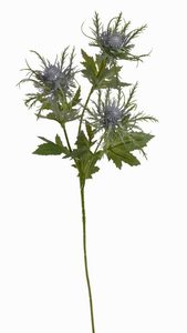 Umělý bodlák modrozelený 65 cm