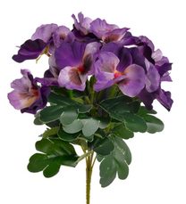 Macešky trs - fialová 30 cm