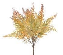 Kapradina trs 43 cm - zelená/oranžová