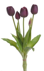 Tulipán 40 cm 5 ks - švestková