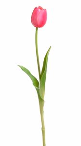 Tulipán 40 cm - červenorůžová