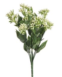 Umělá kytice Kalanchoe bílá 30 cm