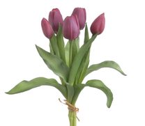 Svazek tulipánů 5 ks - tmavě růžová