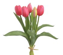 Svazek tulipánů 5 ks - růžovočervená