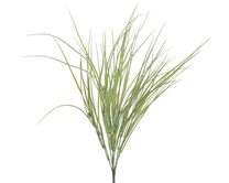 Tráva dracéna 54 cm - sv. zelená