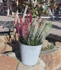 Květináč plechový K2642/3 - dia 14.5 x13 cm