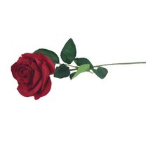 Umělá růže X4911-08 - dia 8 x 63 cm