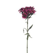 Hvozdík 55 cm X6858-09