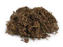 Dekorační mech 20 g