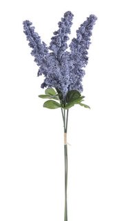 Amaranthus - modrý 3 ks