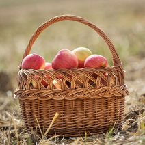 Koš piknikový bělený 054053-01 - 41 x 30 x 25/43 cm