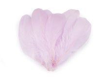 Husí peří délka 14-18 cm 10 kusů