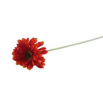 Gerbera červená X5786-08 - dia 10 x 3 / 53 cm
