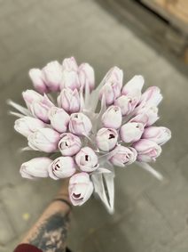 Zasněžená větvička s bílými bobulemi 53 cm