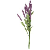 Kytice Ranunculus pryskyřník svazek krémová+růžová