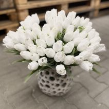 Svazek tulipánů (5 ks) - bílozelená