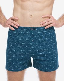 GINA pánské trenky volné, šité, s potiskem 75214P