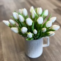 Svazek tulipánů (5 ks) - bílozelená