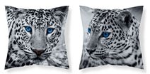 Povlak na polštářek Leopard černobílá micro Polyester, 40/40 cm
