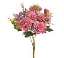 Karafiáty trs 29 cm - červenorůžová